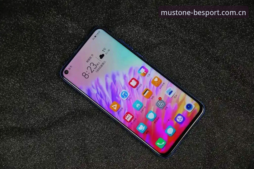 必一体育登录不了手机版 必一体育手机版登录异常排查教程:从v2.0.8版本看解决方案
